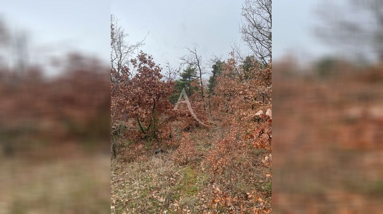 Ma-Cabane - Vente Terrain ROUMOULES, 37641 m²