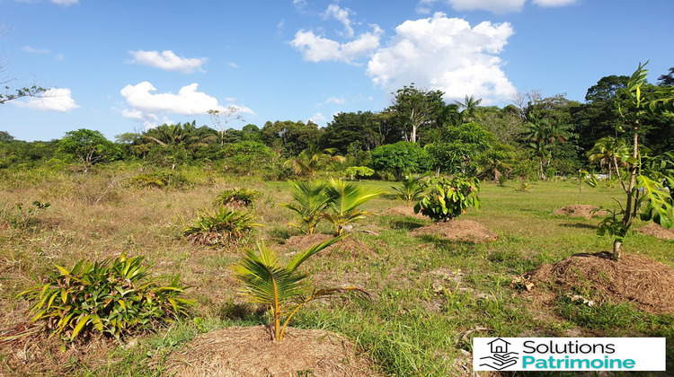 Ma-Cabane - Vente Terrain Roura, 0 m²