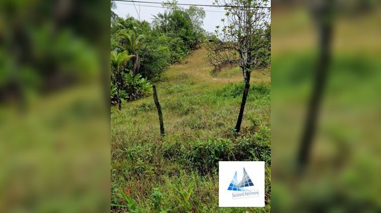 Ma-Cabane - Vente Terrain Roura, 7976 m²