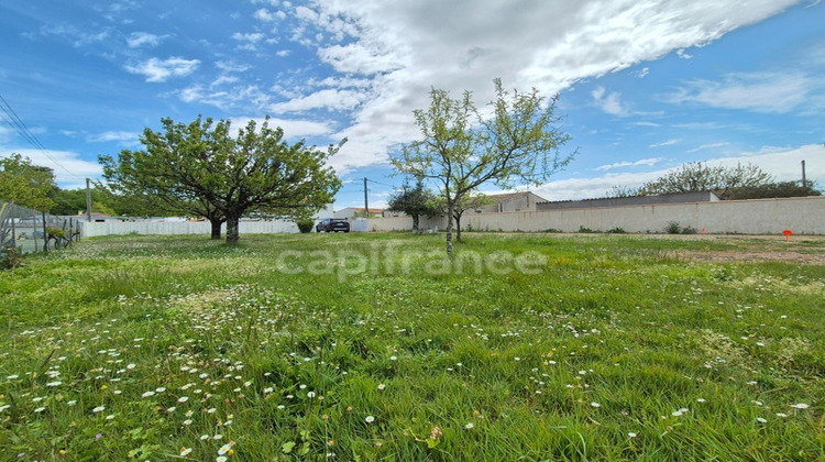 Ma-Cabane - Vente Terrain ROYAN, 453 m²