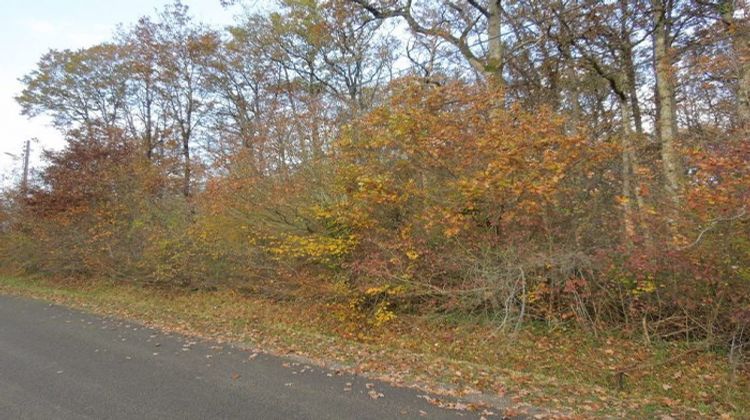 Ma-Cabane - Vente Terrain Rozoy-le-Vieil, 2004 m²