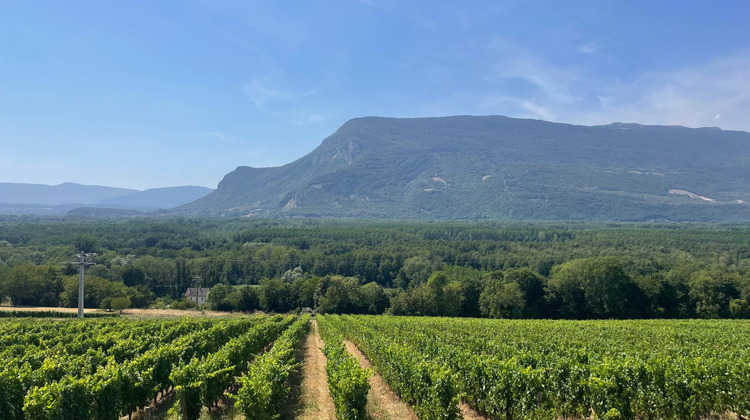 Ma-Cabane - Vente Terrain Ruffieux, 1621 m²