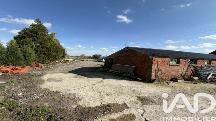 Ma-Cabane - Vente Terrain Ruminghem, 6000 m²