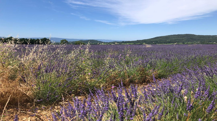Ma-Cabane - Vente Terrain RUSTREL, 1311 m²