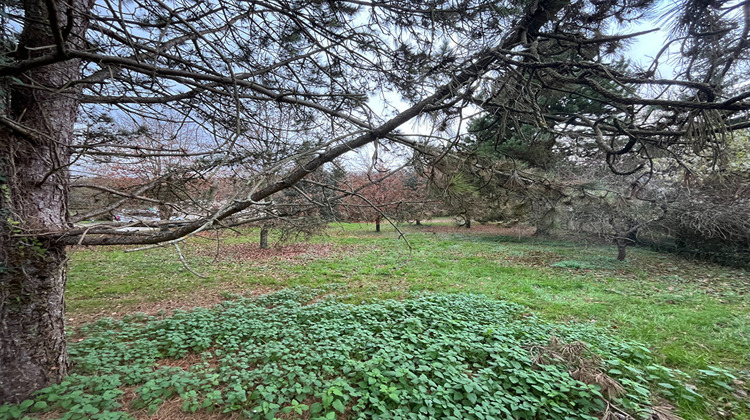 Ma-Cabane - Vente Terrain SAACY-SUR-MARNE, 1203 m²