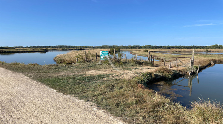 Ma-Cabane - Vente Terrain Sables d'Olonne, 22140 m²