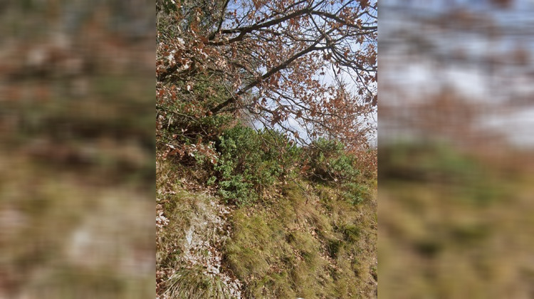 Ma-Cabane - Vente Terrain Sabran, 2950 m²