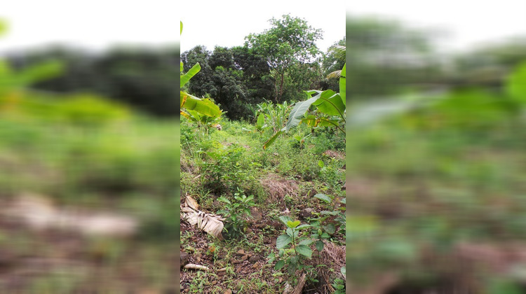 Ma-Cabane - Vente Terrain SADA, 3328 m²