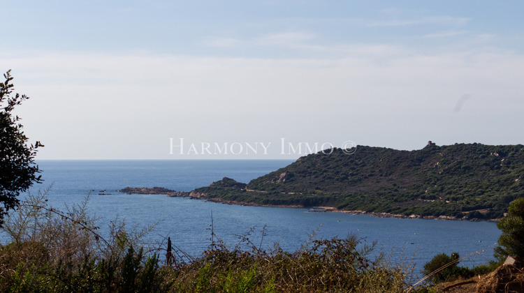 Ma-Cabane - Vente Terrain Sagone, 2691 m²