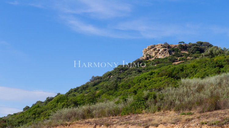 Ma-Cabane - Vente Terrain Sagone, 2691 m²