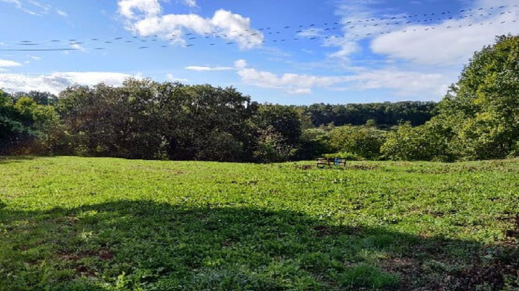 Ma-Cabane - Vente Terrain SAILLAC, 5840 m²