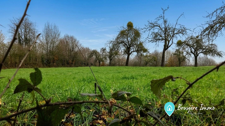 Ma-Cabane - Vente Terrain Sains-du-Nord, 1261 m²