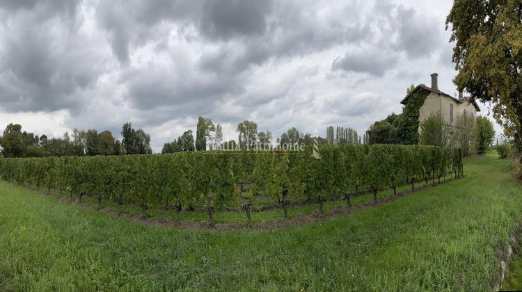 Ma-Cabane - Vente Terrain Saint-Émilion, 8400 m²