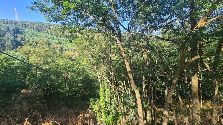 Ma-Cabane - Vente Terrain Saint-Étienne, 1274 m²
