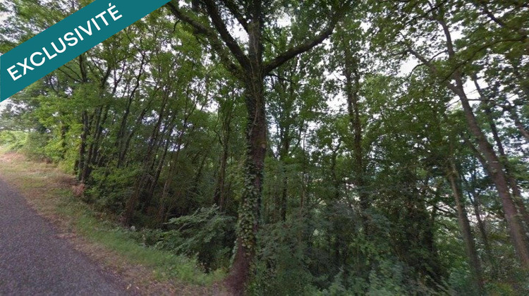 Ma-Cabane - Vente Terrain Saint-Amans-du-Pech, 4591 m²