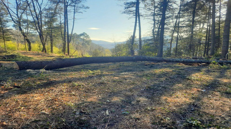 Ma-Cabane - Vente Terrain SAINT AMBROIX, 0 m²