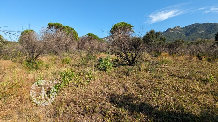 Ma-Cabane - Vente Terrain Saint-André, 8038 m²