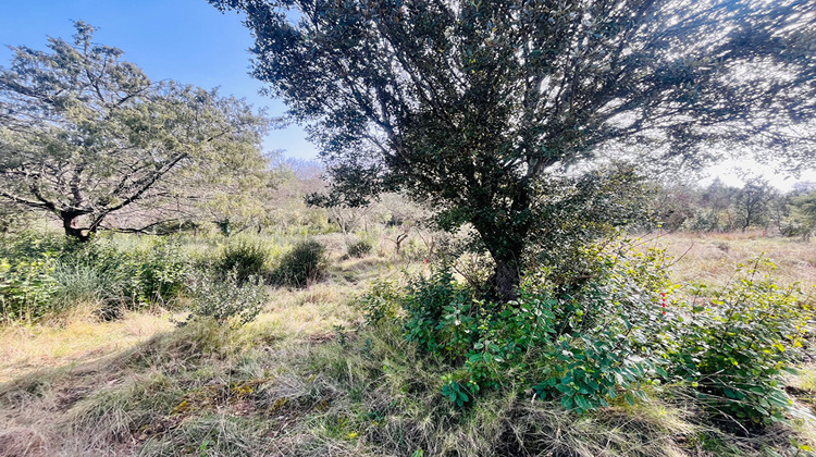 Ma-Cabane - Vente Terrain SAINT-ANDRE-DE-ROQUEPERTUIS, 4959 m²