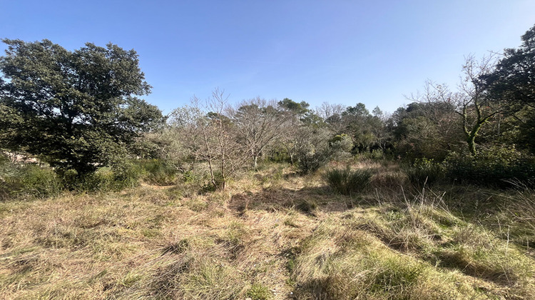 Ma-Cabane - Vente Terrain SAINT-ANDRE-DE-ROQUEPERTUIS, 4959 m²