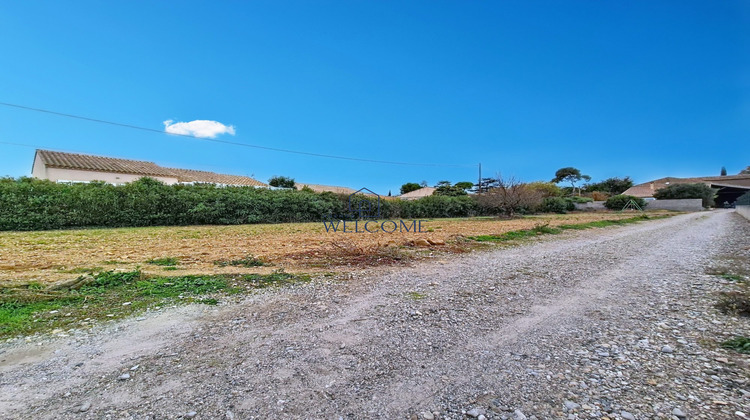 Ma-Cabane - Vente Terrain Saint-André-de-Sangonis, 316 m²