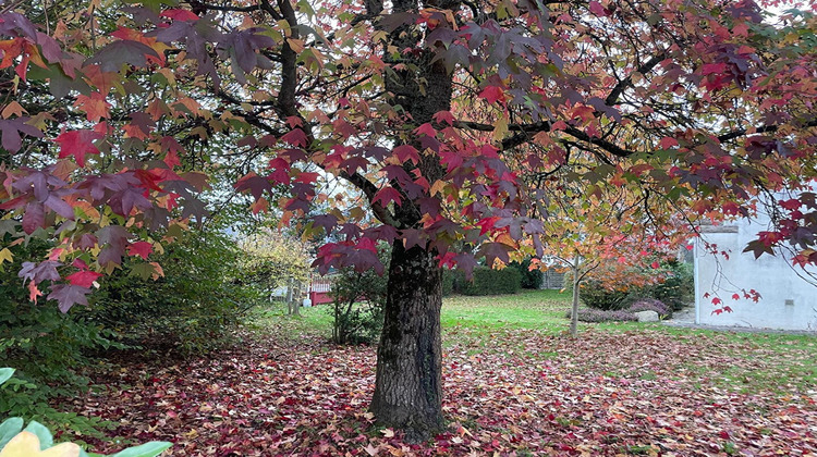 Ma-Cabane - Vente Terrain SAINT-ANDRE-DES-EAUX, 712 m²