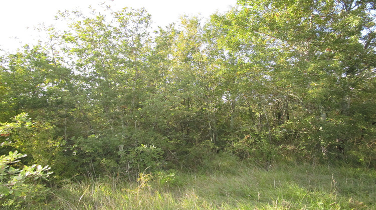 Ma-Cabane - Vente Terrain SAINT-ANTONIN-NOBLE-VAL, 41270 m²