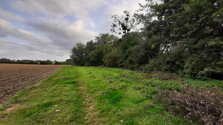 Ma-Cabane - Vente Terrain Saint-Armel, 9000 m²