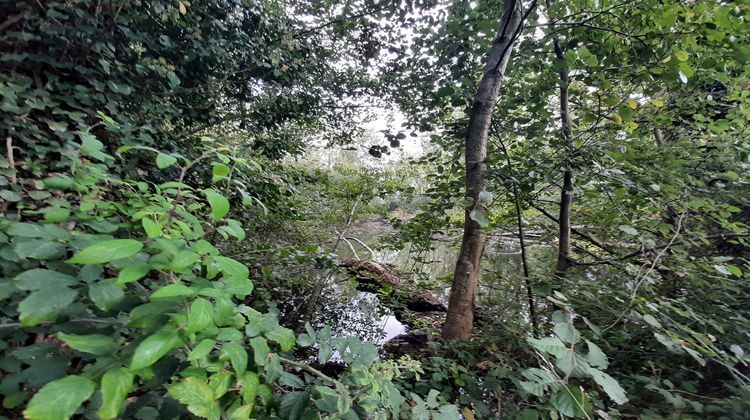 Ma-Cabane - Vente Terrain Saint-Armel, 9000 m²