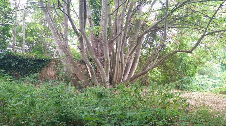 Ma-Cabane - Vente Terrain Saint-Aubin-de-Locquenay, 960 m²