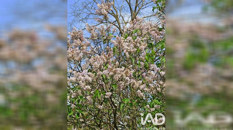 Ma-Cabane - Vente Terrain Saint-Benoist-sur-Vanne, 795 m²