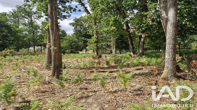 Ma-Cabane - Vente Terrain Saint-Benoît-la-Forêt, 1661 m²