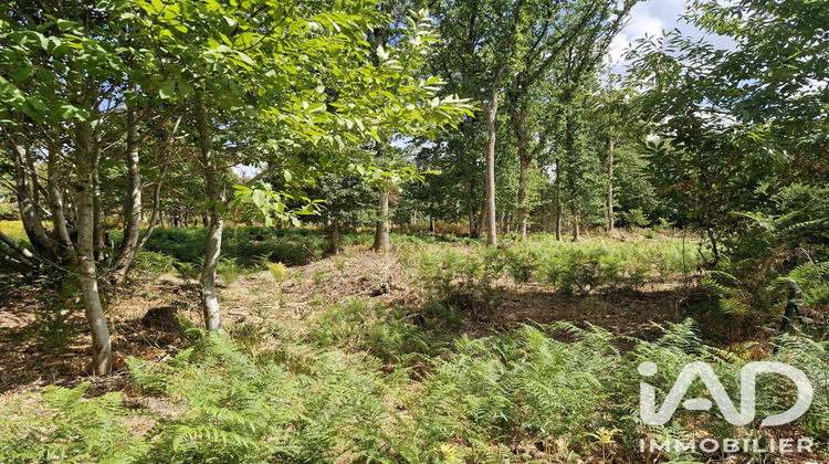 Ma-Cabane - Vente Terrain Saint-Benoît-la-Forêt, 1661 m²