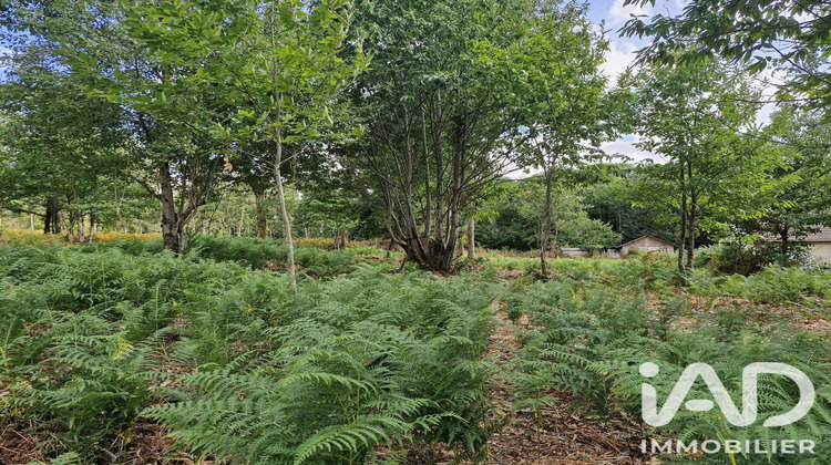 Ma-Cabane - Vente Terrain Saint-Benoît-la-Forêt, 1661 m²