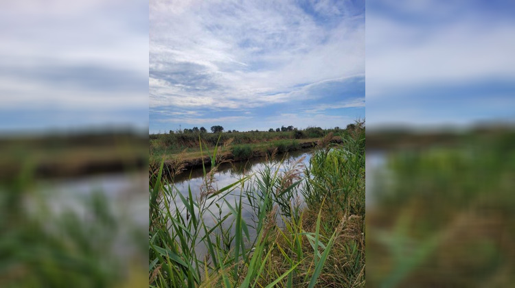 Ma-Cabane - Vente Terrain SAINT BONNET SUR GIRONDE, 10314 m²