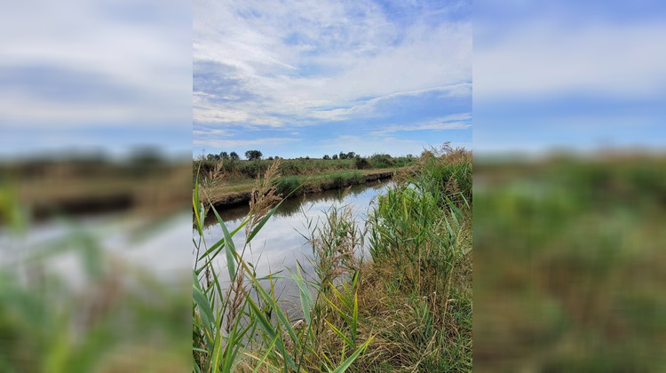 Ma-Cabane - Vente Terrain SAINT BONNET SUR GIRONDE, 10314 m²