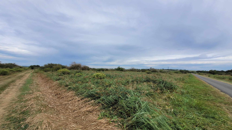 Ma-Cabane - Vente Terrain SAINT BONNET SUR GIRONDE, 10314 m²