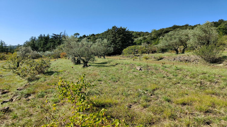 Ma-Cabane - Vente Terrain Saint-Brès, 5556 m²