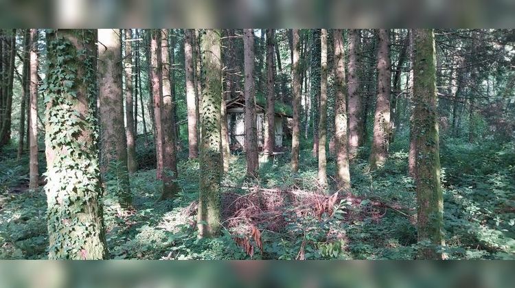 Ma-Cabane - Vente Terrain SAINT BRESSON, 3045 m²