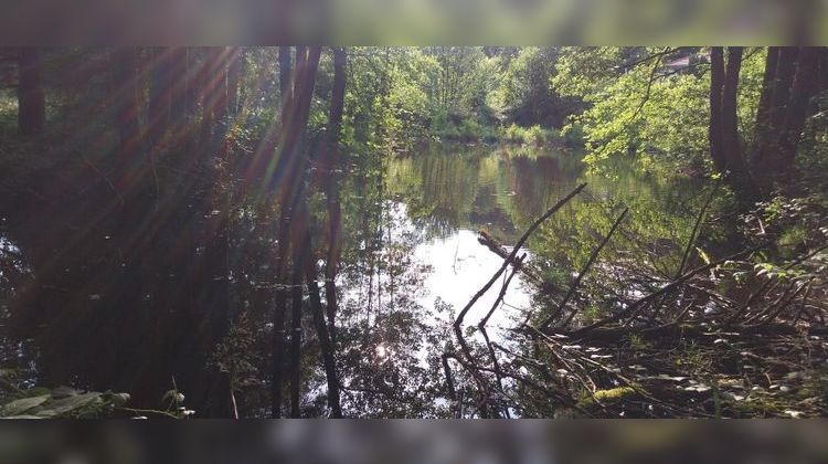 Ma-Cabane - Vente Terrain SAINT BRESSON, 3045 m²