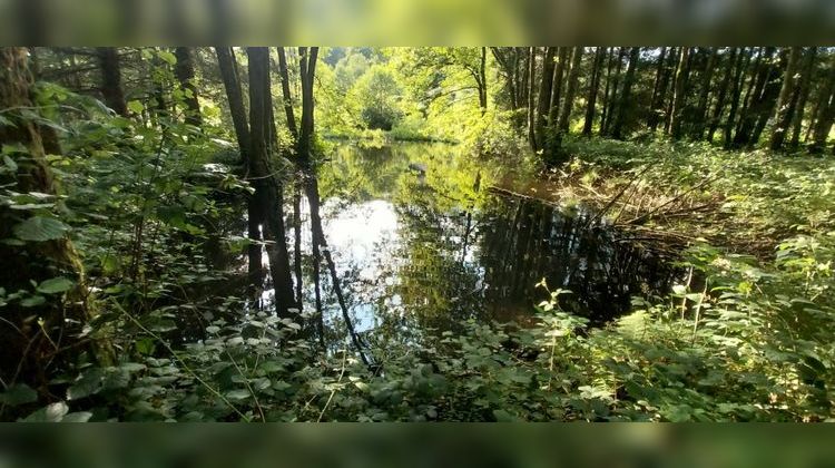 Ma-Cabane - Vente Terrain SAINT BRESSON, 3045 m²