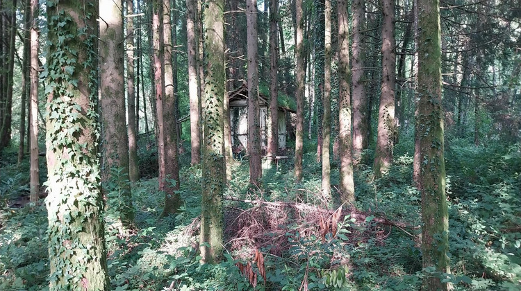 Ma-Cabane - Vente Terrain SAINT BRESSON, 3045 m²