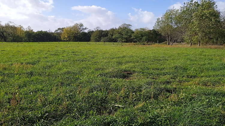 Ma-Cabane - Vente Terrain SAINT-CAPRAIS-DE-BLAYE, 1993 m²