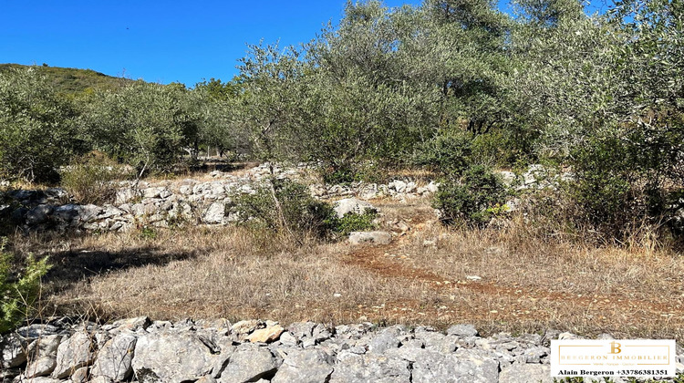 Ma-Cabane - Vente Terrain Saint-Cézaire-sur-Siagne, 5000 m²