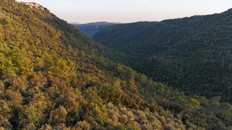 Ma-Cabane - Vente Terrain SAINT CEZAIRE SUR SIAGNE, 16190 m²