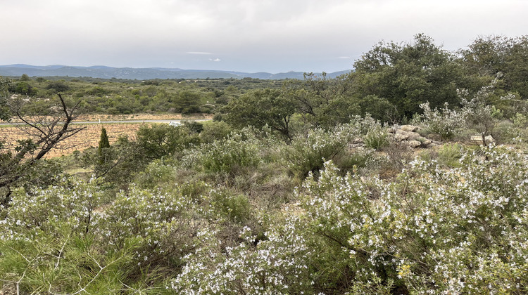 Ma-Cabane - Vente Terrain Saint-Chinian, 9590 m²