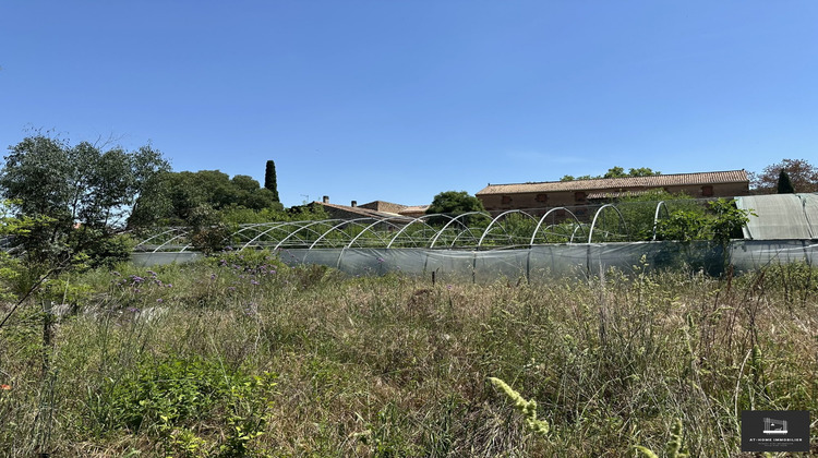 Ma-Cabane - Vente Terrain Saint-Chinian, 6250 m²