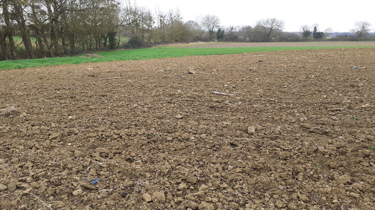 Ma-Cabane - Vente Terrain SAINT-CHRISTOPHE-LA-COUPERIE, 1767 m²