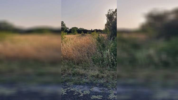 Ma-Cabane - Vente Terrain SAINT CIERS DU TAILLON, 1465 m²