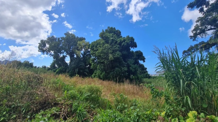 Ma-Cabane - Vente Terrain SAINT CLAUDE, 15220 m²