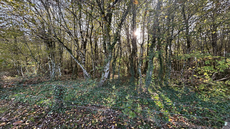 Ma-Cabane - Vente Terrain Saint-Clément, 4235 m²